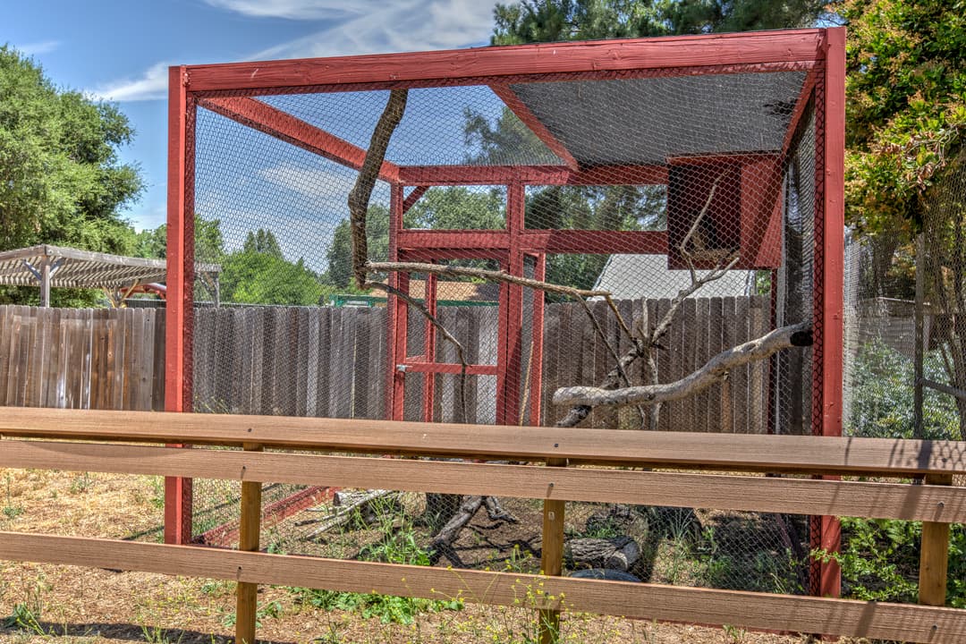 Outdoor bird aviary enclosure with wooden frame and mesh wire