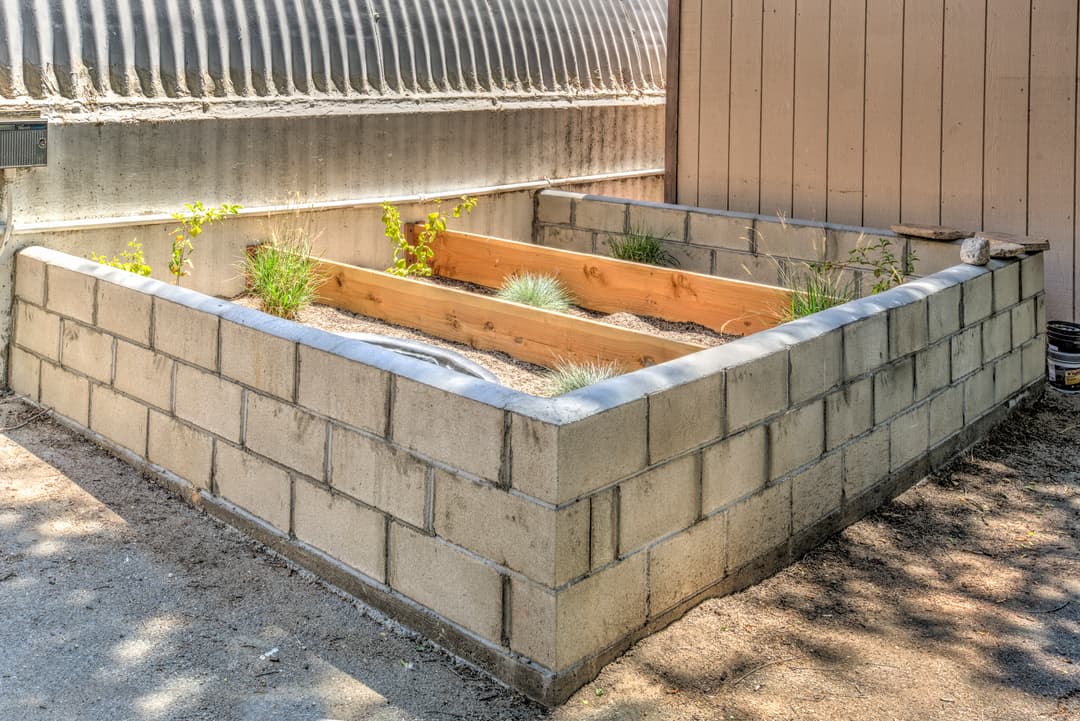 Raised garden bed with concrete block walls and young plants near a building