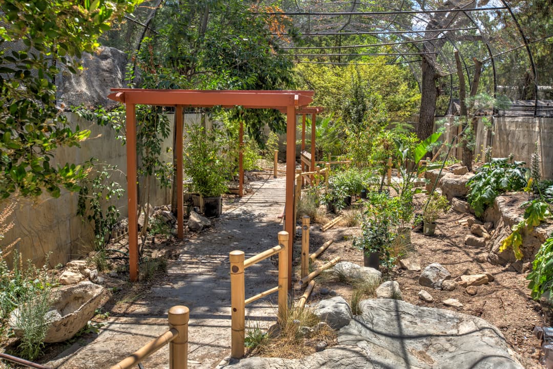 Garden pathway with wooden trellis and lush greenery under sunlight