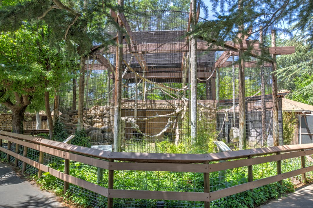 Outdoor zoo enclosure with trees, wooden beams, and ropes for climbing animals